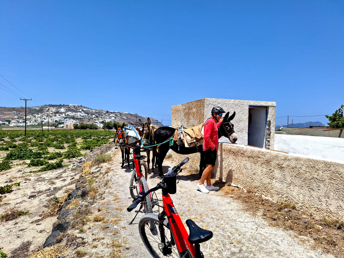 e-Bike Santorini Tour: Morning or Sunset