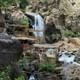 From Marrakech: day trip to Atlas Mountains & imlil waterfalls
