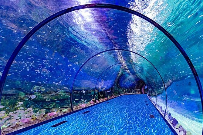 Abu Dhabi : The National Aquarium Aquatic Wonderland,