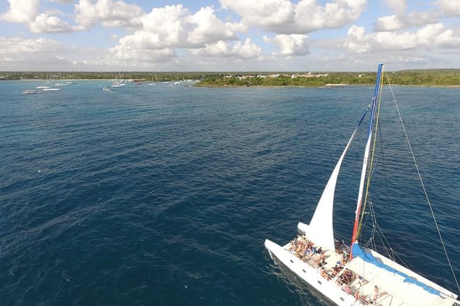 Excursión de un día a la Isla Saona desde Punta Cana con almuerzo 2