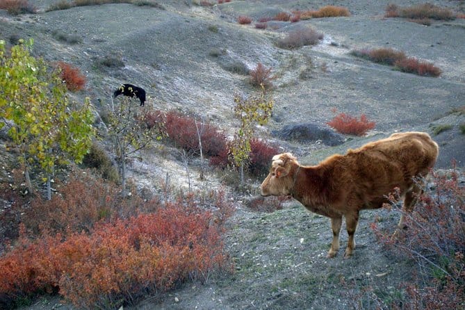 19 Days Mera Peak Climbing & Expedition – One Life-Changing Himalayan Adventure