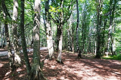 Hiking Adventure: Abudelauri Lakes from Tbilisi