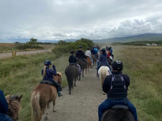Horse Riding Tour and Explore Scenery in Gásir Akureyri, photo 17