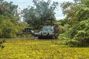 Pidurangala, Hiriwaduna Village & Sigiriya Tour (German & English)