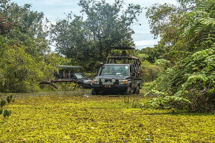 Pidurangala, Hiriwaduna Village & Sigiriya Tour (German & English)