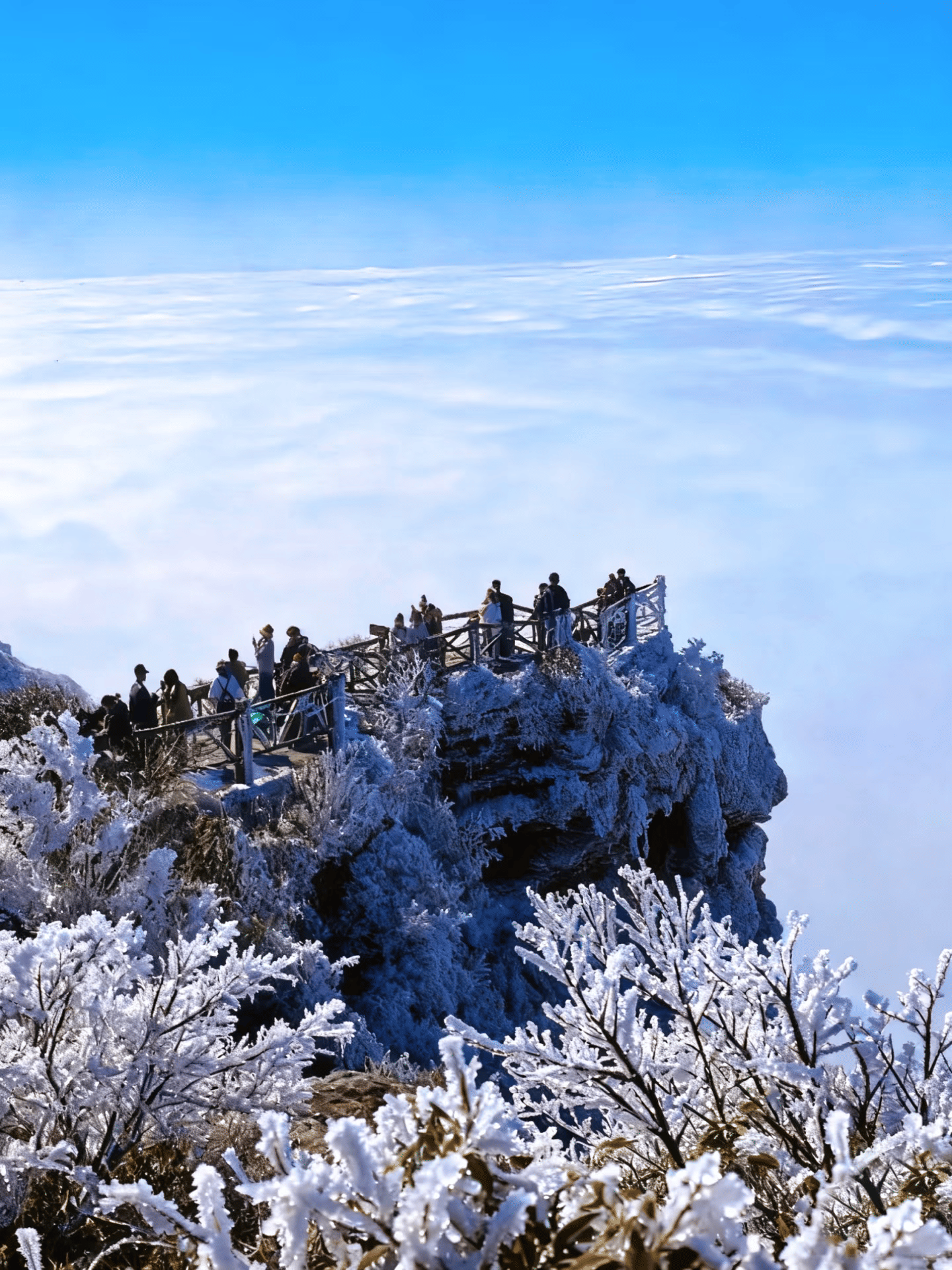 Fanjingshan: A Spiritual Climb Above the Clouds