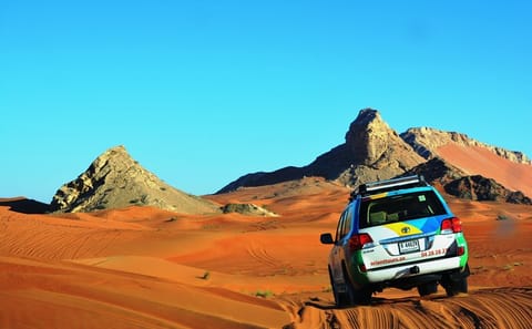 4x4 Hatta Safari Tour to Fossil Rock and Honey Bee Garden