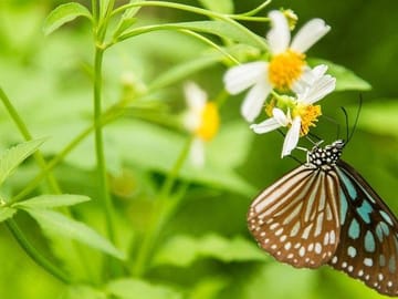 Cuc Phuong National Park Eco-Adventure from Hanoi