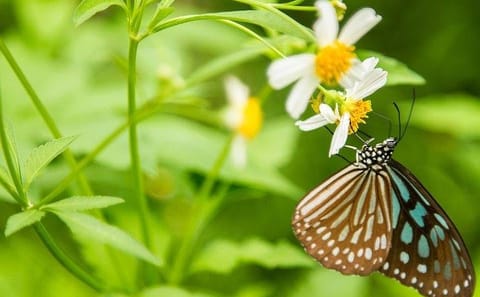 Cuc Phuong National Park Eco-Adventure from Hanoi