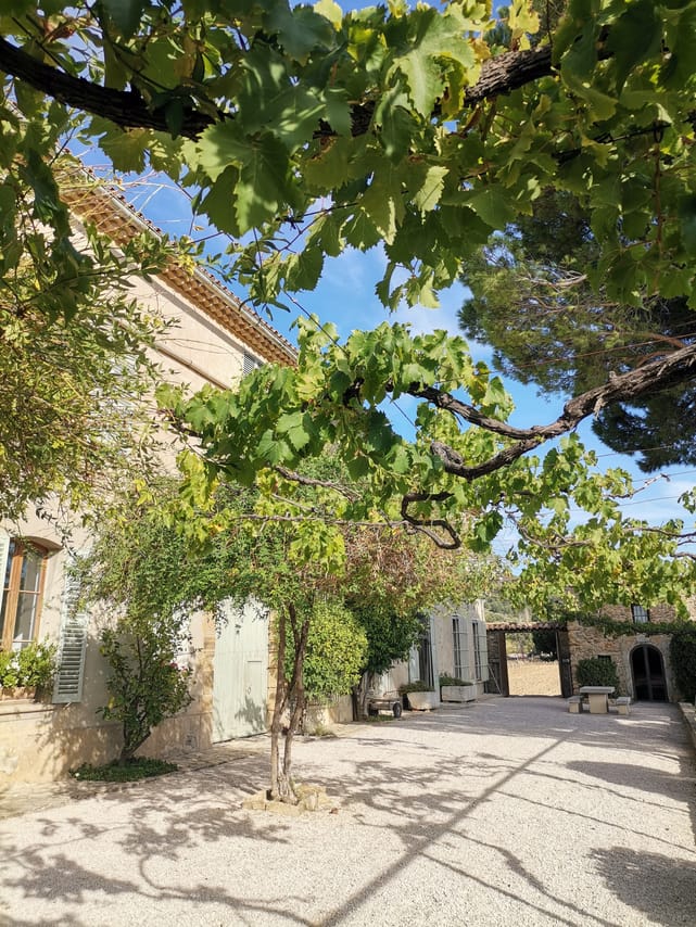 The vineyards of the Coteaux d'Aix-en-Provence and the Sainte-Victoire Mountain 7