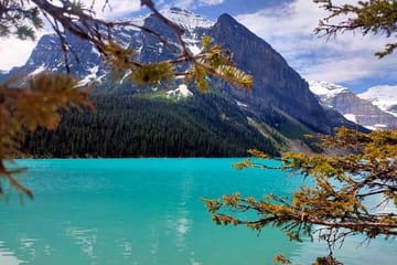 Lake Louise, Moraine Lake, Peyto Lake, Crowfoot Tour from Canmore