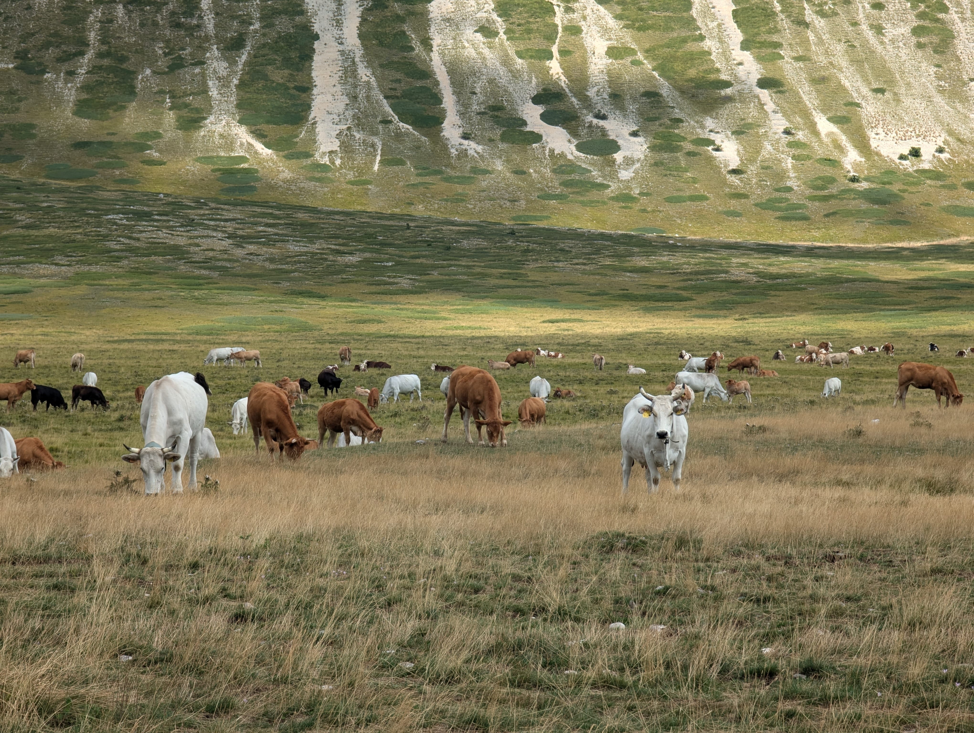 Gran Sasso by E-Bike: An Epic Day Trip from Rome