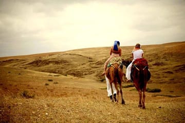 Camel Ride and Dinner Experience in Agafay Desert, Marrakech