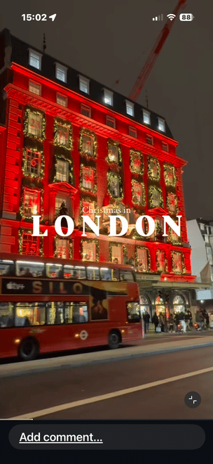 London Christmas Light & Festive Sights Taxi Tour