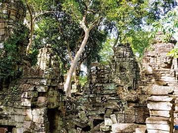 Prek Toal Birds Sanctuary & floating Village Private Tours from Siem Reap