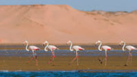 Agadir Jeep Safari & Sahara Adventure – Full-Day Tour with Tajine 2