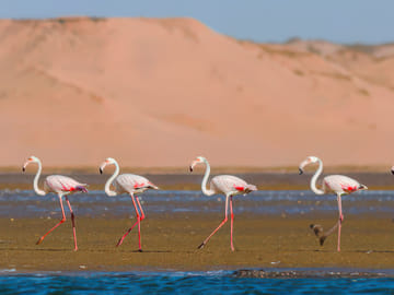 Agadir Jeep Safari and Sahara Desert Adventure with Lunch