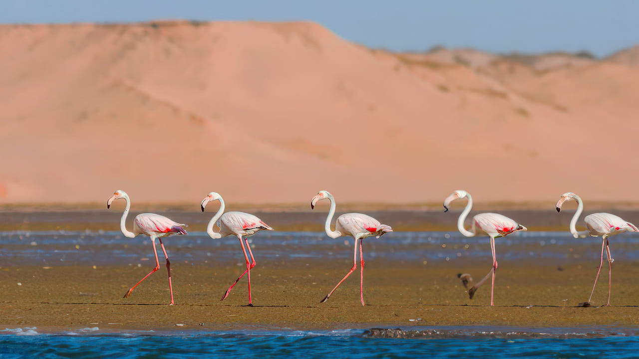 Agadir Jeep Safari & Sahara Adventure – Full-Day Tour with Tajine 2