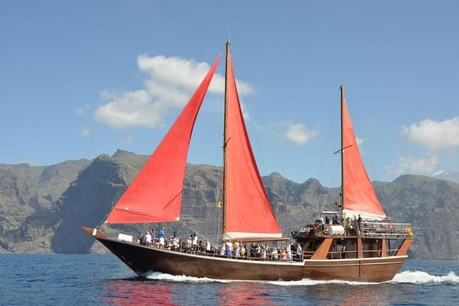 Whale & Dolphin Watching Experience + Los Gigantes And Masca 2