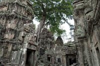 Taprohm