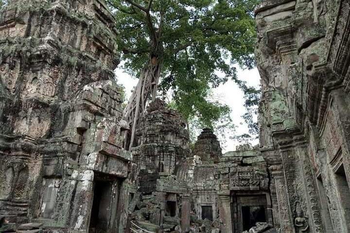Taprohm