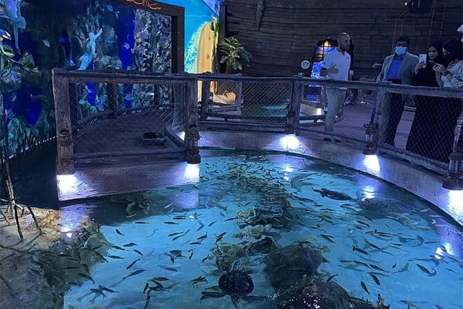 Abu Dhabi : The National Aquarium Aquatic Wonderland,