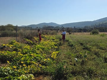 Etrim Village Turkish Cooking and Farm Experience