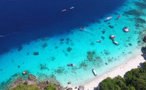 Premium Similan Island Day Trip with Lunch from Chalong