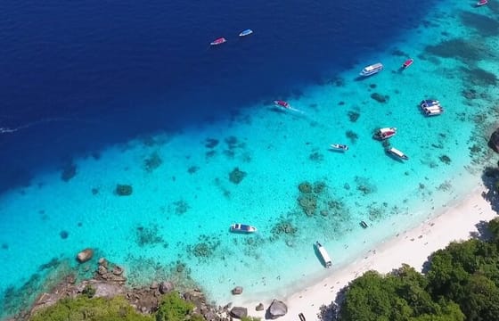 Premium Similan Island Day Trip with lunch and transfer pick up