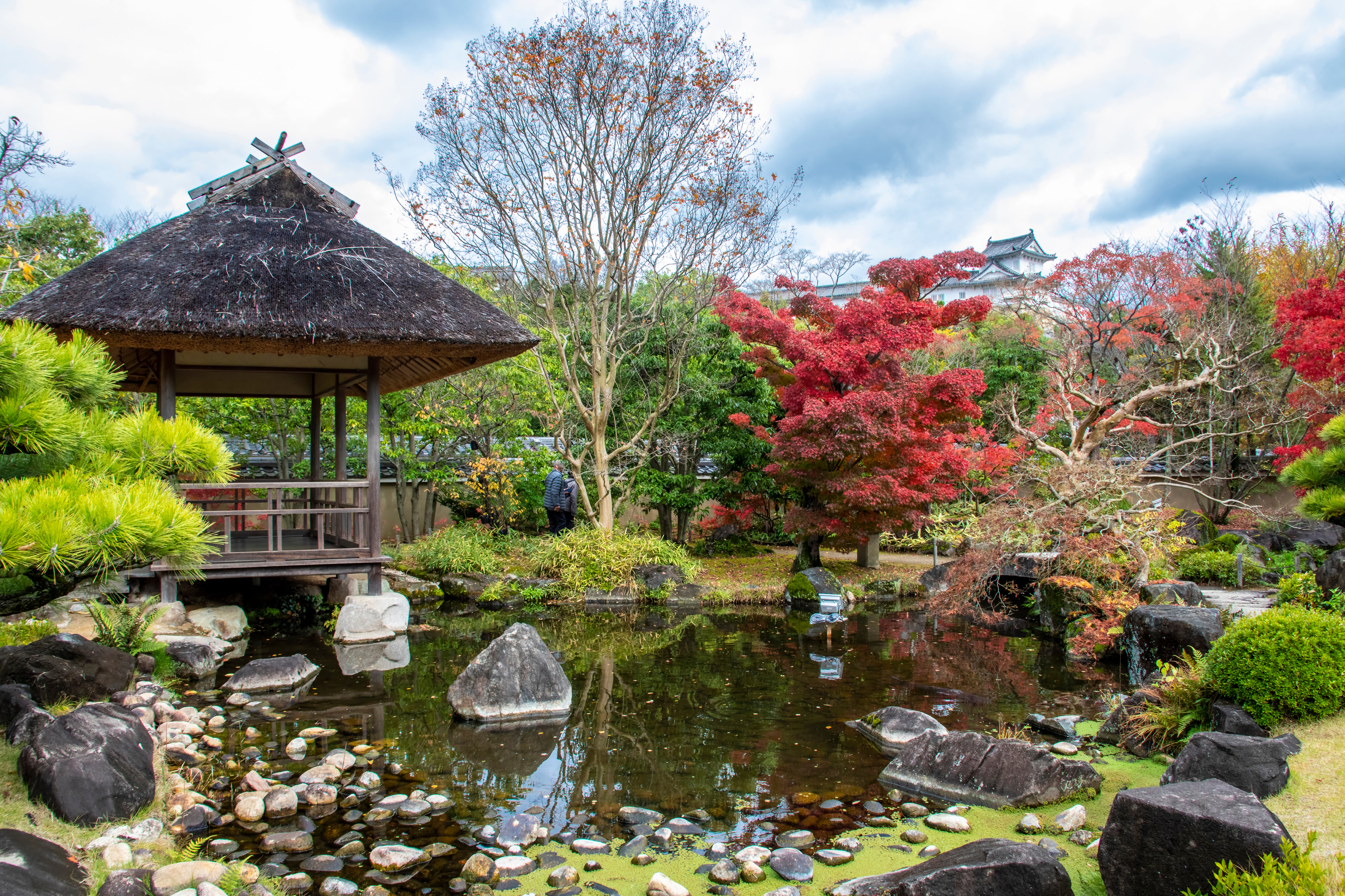 Himeji Private Vehicle Service with Restaurant Reservation