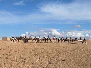 Agafay Desert Sunset Dinner and Camel Ride from Marrakech