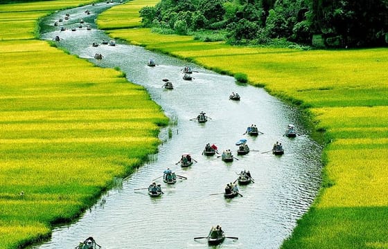 Small-Group Hoa Lu – Tam Coc Day Tour from Hanoi