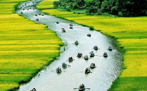 Small-Group Hoa Lu and Tam Coc Day Tour from Hanoi
