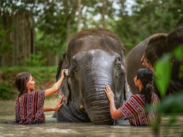 Khao Sok 3-Day 2-Night Adventure Escape with 7 Meals