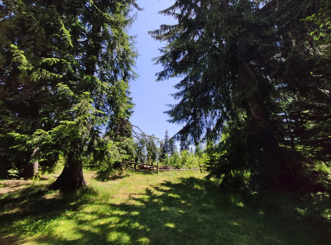 Private 2-Day Horseback Riding in Rhodope Mountains from Plovdiv 2