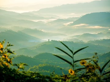 Chiang Rai, Golden Triangle and Long Neck Karen