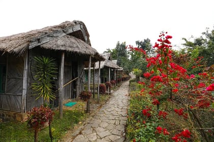 Nagaland & Assam Soft Trekking Tour in Tribal Village