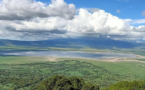 2-Day Ngorongoro and Lake Manyara Safari from Arusha