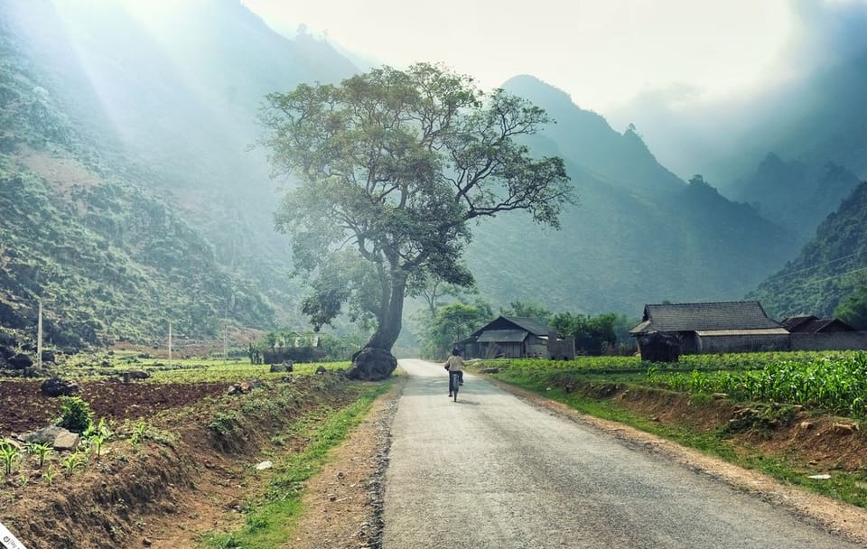 Nine-Day Cultural Adventure in Hà Giang, Vietnam