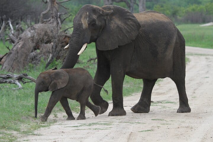 15 minutes scenic helicopter flight above Victoria Falls-Zimbabwe