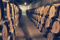 Private Full Day City Tour of Santiago with Wine Experience 5