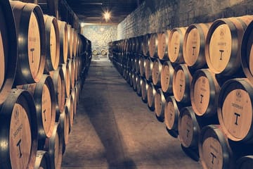 Private Full Day City Tour of Santiago with Wine Experience