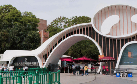 Chongqing to Chengdu High-Speed Rail Tour: One-Day Panda Base Excursion