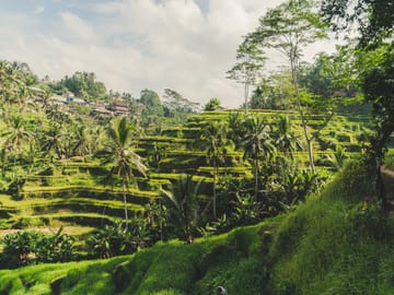 Best of Bali Traditional Village Sightseeng Tour include Lunch