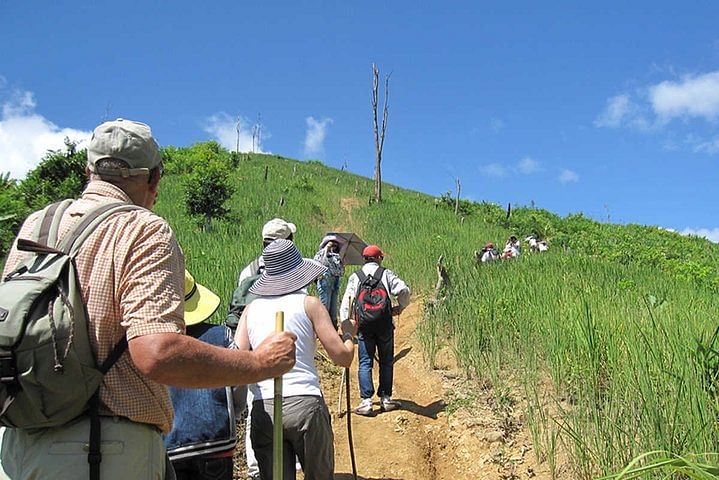 A Luoi Trekking Adventure: Explore Ethnic Cultures & Stunning Scenery