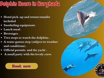Dolphin House Red Sea Adventure