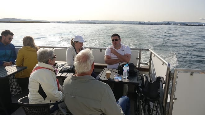 Sailing with Giants: Whale Watching from Reykjavik