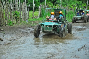Punta Cana Adventure: Eco Farm, Horseback, Buggy, and Zipline Tour