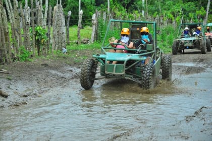 5 tours in 1 (Eco Farm/Horseback/City Tour/Buggy/Zipline)