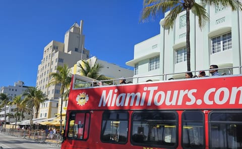 Full-Day Miami Tour: Cruise, Everglades Airboat & Bus Adventure